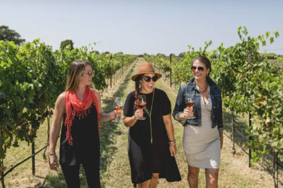 A Day in Wine Country: Valpolicella Vineyards, Tastings & Lunch Escape